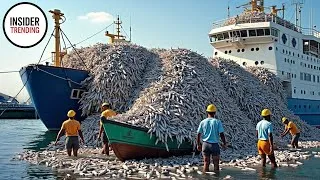 Thumbnail: Inside The Mega Factory: How Farmers Catch And Process Millions Of Tons Of Flounder