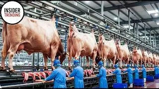 Thumbnail: Is Brahma Cow Beef & Leather The HIGHEST QUALITY You Can Buy TODAY ?Factory Secrets