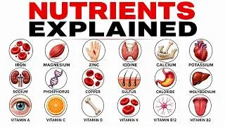 Thumbnail: 7 Nutrient Deficiencies That Are Silently Destroying Your Body