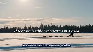 Thumbnail: Top 3 Things to Do in Alaska You’ll Never Forget 🏔️ | Insight Vacations’ Jewels of Alaska Tour