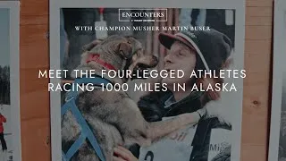 Thumbnail: Meet The Champion Sled Dogs Racing 1000 Miles Across Alaska