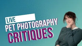 Thumbnail: Pet Photo Critiques - Composition, Light, Editing mistakes you might be missing