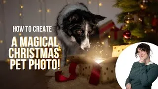 Thumbnail: How to create a simple but magical Christmas photo of your pet