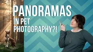 Thumbnail: Panoramas in Pet Photography? More than just landscapes!