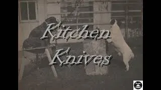 Thumbnail: Kitchen Knives - Tipster 2