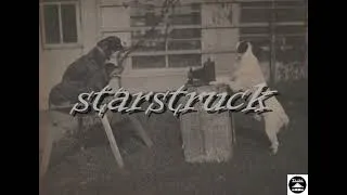 Thumbnail: starstruck - Tipster 2
