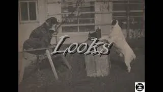 Thumbnail: Looks - Tipster 2