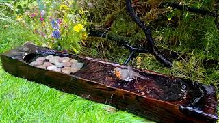 Thumbnail: Morning Light at the Bird Bath: A Break From Digital Noise | Relaxing 4K Pure ASMR