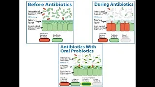 Thumbnail: probiotics