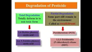 Thumbnail: Principle of Bio-degradation of Pesticide[Xenobiotics]