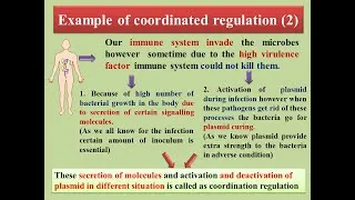 Thumbnail: coordinated regulations (Bacterial Virulence Factor)