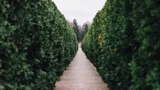 Thumbnail: Relaxing Piano Music