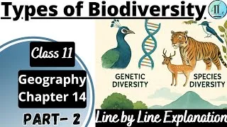 Thumbnail: Types of Biodiversity | Biodiversity and Conservation | Class 11 Geography Chapter 14 NCERT UPSC