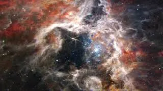Thumbnail: "Macroscopic"