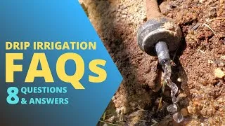 Thumbnail: Beginner's Guide to Drip Irrigation - 8 Common Questions Answered
