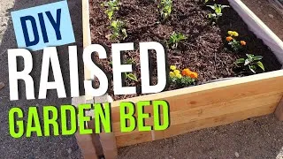 Thumbnail: Building a Raised Garden Bed using Planter Blocks & Lumber | DIY Step-by-Step