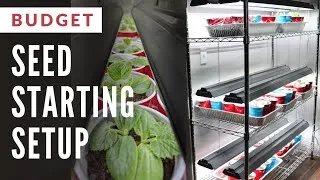 Thumbnail: BUDGET Indoor Seed Starting Setup THAT WORKS!