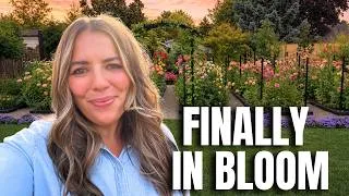 Thumbnail: The Cut Flower Garden Tour You've Been Waiting For 🌿
