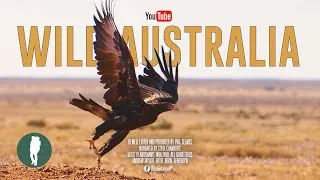 Thumbnail: Secrets of the Outback | Australia's Harshest Wilderness | Full Documentary 4K
