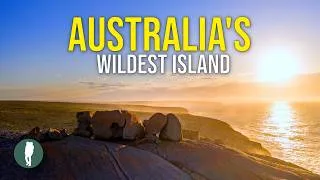 Thumbnail: Australia’s Wildest Island – Hidden World of Kangaroo Island | 4K