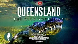 Thumbnail: Australia’s Wild Northeast | Queensland Wildlife 4K Documentary