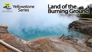 Thumbnail: The Wild Heart of Yellowstone / Where the Earth Boils