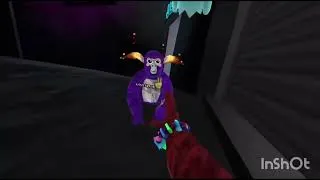 Thumbnail: Elliott gone #gorillatag