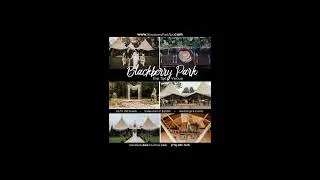 Thumbnail: The Tipi Trio at Blackberry Park