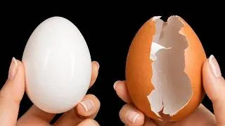 Thumbnail: Throw away boiling and frying eggs! - This secret from a 5 star hotel will amaze you!