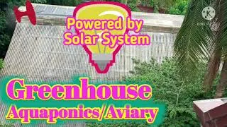 Thumbnail: #V0124 Greenhouse /Aquaponics / Aviary + powered by Solar System