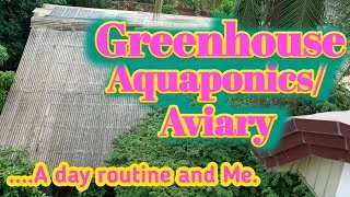 Thumbnail: #V0123 GREENHOUSE | AQUAPONICS / AVIARY | DAILY ROUTINE