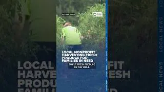 Thumbnail: Local nonprofit harvesting fresh produce for families in need
