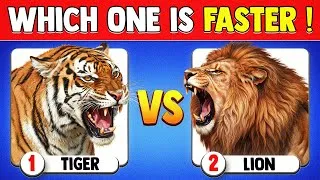 Thumbnail: 🌍 Which Animal Is Faster? Land, Sea & Sky Speed Showdown!