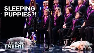 Thumbnail: The Choir Audition Where the Guide Dogs Stole the Entire Show! | Ireland's Got Talent