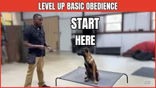 Thumbnail: Level Up Basic Obedience: How to Teach the Place Command (Step-by-Step for Beginners) | Part 1