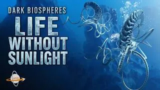 Thumbnail: Dark Biospheres - Life on Worlds Without Sunlight