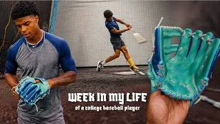 Thumbnail: WEEK IN MY LIFE | training as a college baseball player
