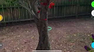 Thumbnail: iScape AR IOS App Preview