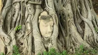 Thumbnail: | BBRAVELER at AYUTTHAYA Part Two | iSee109 |
