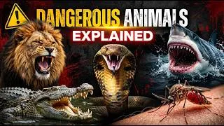 Thumbnail: Most Dangerous Animals on Earth Explained in 1 Minutes