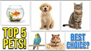 Thumbnail: Top 5 Best Pets 🐾 | Most Popular Animals in 1 Minutes!