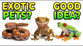 Thumbnail: Weird Exotic Pets 🦎 | Easy Guide in 1 Minutes!
