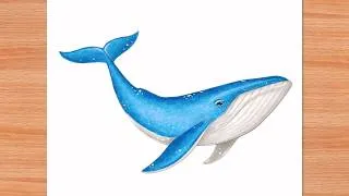 Thumbnail: How to Draw A Whale - Step by Step | Easy Drawing | Blue Whale Drawing 🐋 | Biggest Aquatic Animal