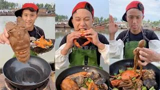Thumbnail: Dagang cooked scallops, octopus, abalone, snails, crabs, mantis shrimp, lobster, and starfish#yummy
