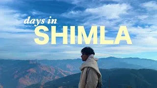 Thumbnail: Days in Shimla(New year trip,Mall road, Scenic view, Zipline, Mountain trek ☕️🌄)