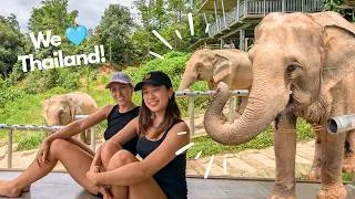 Thumbnail: We found the BEST Elephant Sanctuary in Chiang Mai, Thailand!