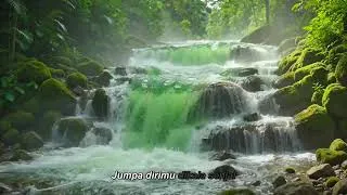 Thumbnail: Forest River Sounds at Sunrise | Calm Morning Ambience