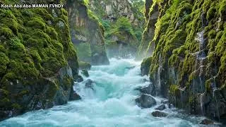 Thumbnail: Quiet Woodland River | Relaxing Water Sounds for Sleeping