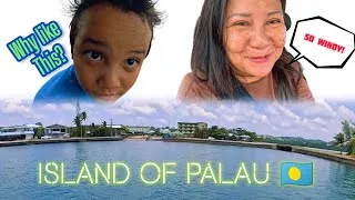 Thumbnail: WE DIDN'T GO FAR PALAU IS SO WINDY! ISLANDLIFE SUNDAY 🇵🇼