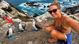 Thumbnail: Exploring Ecuador’s Hidden Islands & Wild Pacific Coast!